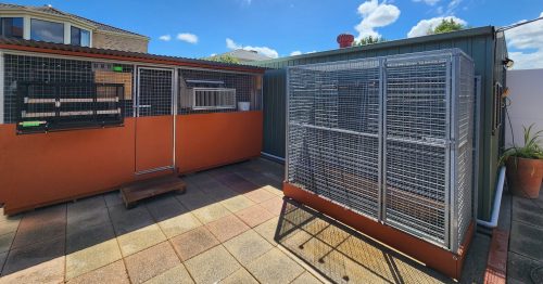 "We have a comprehensive housing setup for our flying kit-birds, consisting of four kit-boxes and an all-wire training cage. The kit-boxes provide a comfortable and secure environment for our birds to nest and rest, while the training cage is specifically designed to acclimate young birds to their new surroundings. The all-wire construction of the training cage ensures optimal ventilation, visibility, and ease of cleaning, which is essential for maintaining the health and well-being of our birds."
